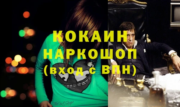 тгк Алзамай