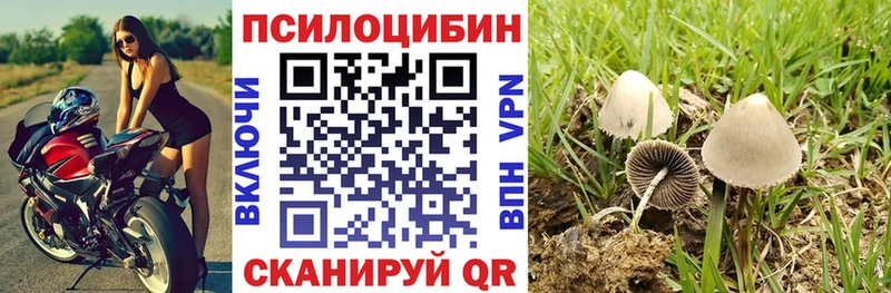 купить наркотики сайты  Закаменск  omg зеркало  Псилоцибиновые грибы MAGIC MUSHROOMS 